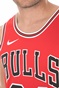 NIKE-Ανδρική φανέλα Nike NBA Icon Edition Swingman Chicago Bulls κόκκινη