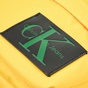 CALVIN KLEIN JEANS-Unisex σακίδιο πλάτης Calvin Klein Jeans SPORT ESSENTIAL κίτρινο