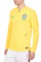 NIKE-Ανδρικό ποδοσφαιρικό τζάκετ Nike Breathe Brasil CBF Stadium Home κίτρινο