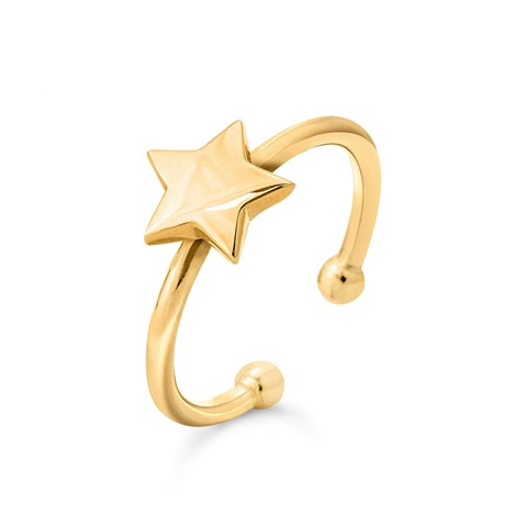 FOLLI FOLLIE-Γυναικείο ασημένιο δαχτυλίδι FOLLI FOLLIE Wishing On Silver 925 18k Yellow Gold Plated χρυσό