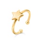 FOLLI FOLLIE-Γυναικείο ασημένιο δαχτυλίδι FOLLI FOLLIE Wishing On Silver 925 18k Yellow Gold Plated χρυσό