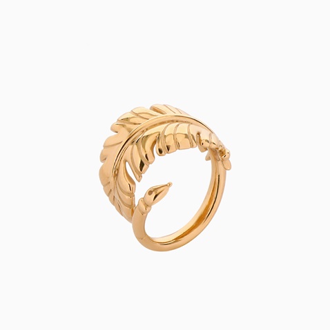 FOLLI FOLLIE-Γυναικείο δαχτυλίδι FOLLI FOLLIE  Historia ασημένιο 925° 