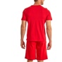KAPPA-Ανδρικό t-shirt KAPPA T-S 1156480036 LOGO DUCARL FS UN KI κόκκινο