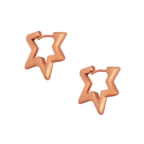 JEWELTUDE-Γυναικεία ασημένια σκουλαρίκια JEWELTUDE 15690 ροζ επιχρυσωμένα