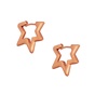JEWELTUDE-Γυναικεία ασημένια σκουλαρίκια JEWELTUDE 15690 ροζ επιχρυσωμένα