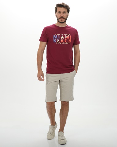 VAN HIPSTER-Ανδρικό t-shirt VAN HIPSTER 72167 ροζ