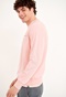 FUNKY BUDDHA-Ανδρική φούτερ μπλούζα FUNKY BUDDHA ροζ